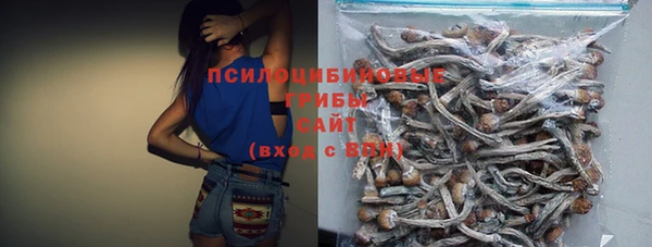ПСИЛОЦИБИНОВЫЕ ГРИБЫ Верхний Тагил