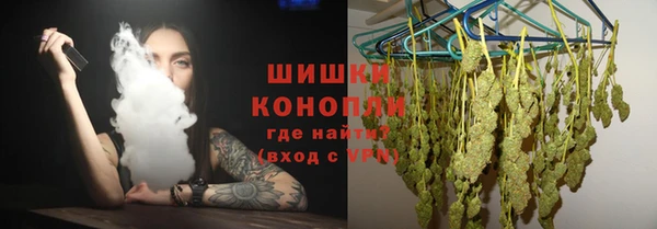ПСИЛОЦИБИНОВЫЕ ГРИБЫ Верхний Тагил