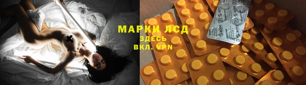 ПСИЛОЦИБИНОВЫЕ ГРИБЫ Верхний Тагил
