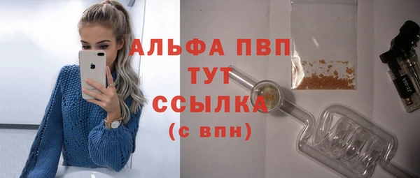 ПСИЛОЦИБИНОВЫЕ ГРИБЫ Верхний Тагил