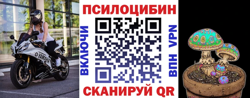 Псилоцибиновые грибы прущие грибы  как найти закладки  MEGA вход  Карабаш 